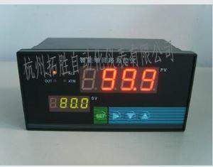 QQ-803系列數(shù)顯儀